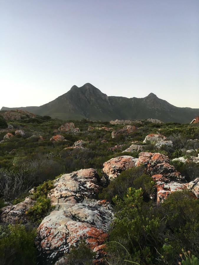 Apartamento Rondawel With Sea View Kleinmond Exterior foto